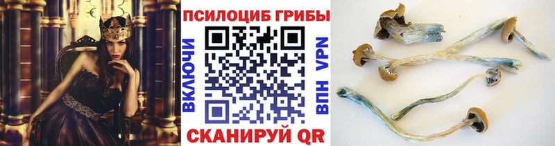 Галлюциногенные грибы ЛСД  Ядрин 